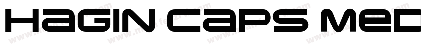 Hagin Caps Medium Me字体转换